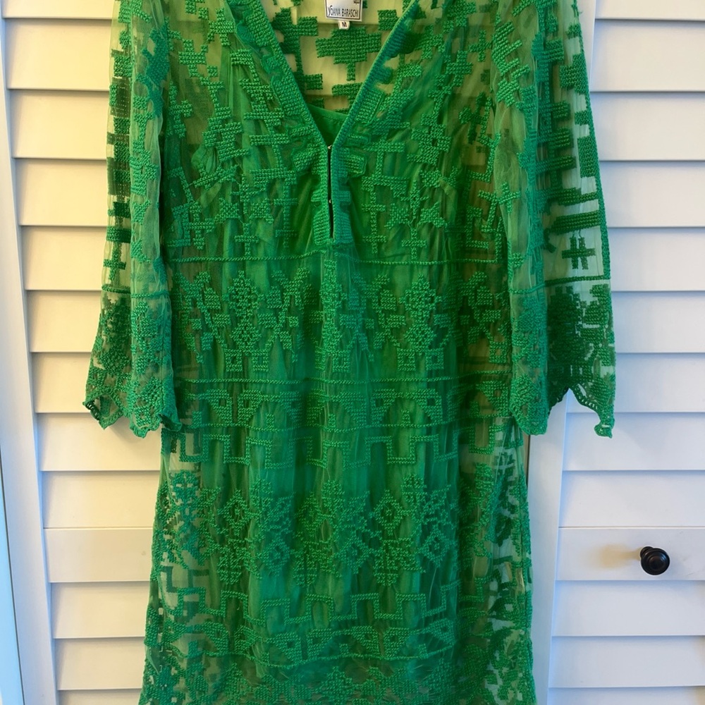 Yoana Baraschi Emerald Sheer sheath Dress embroidered lined